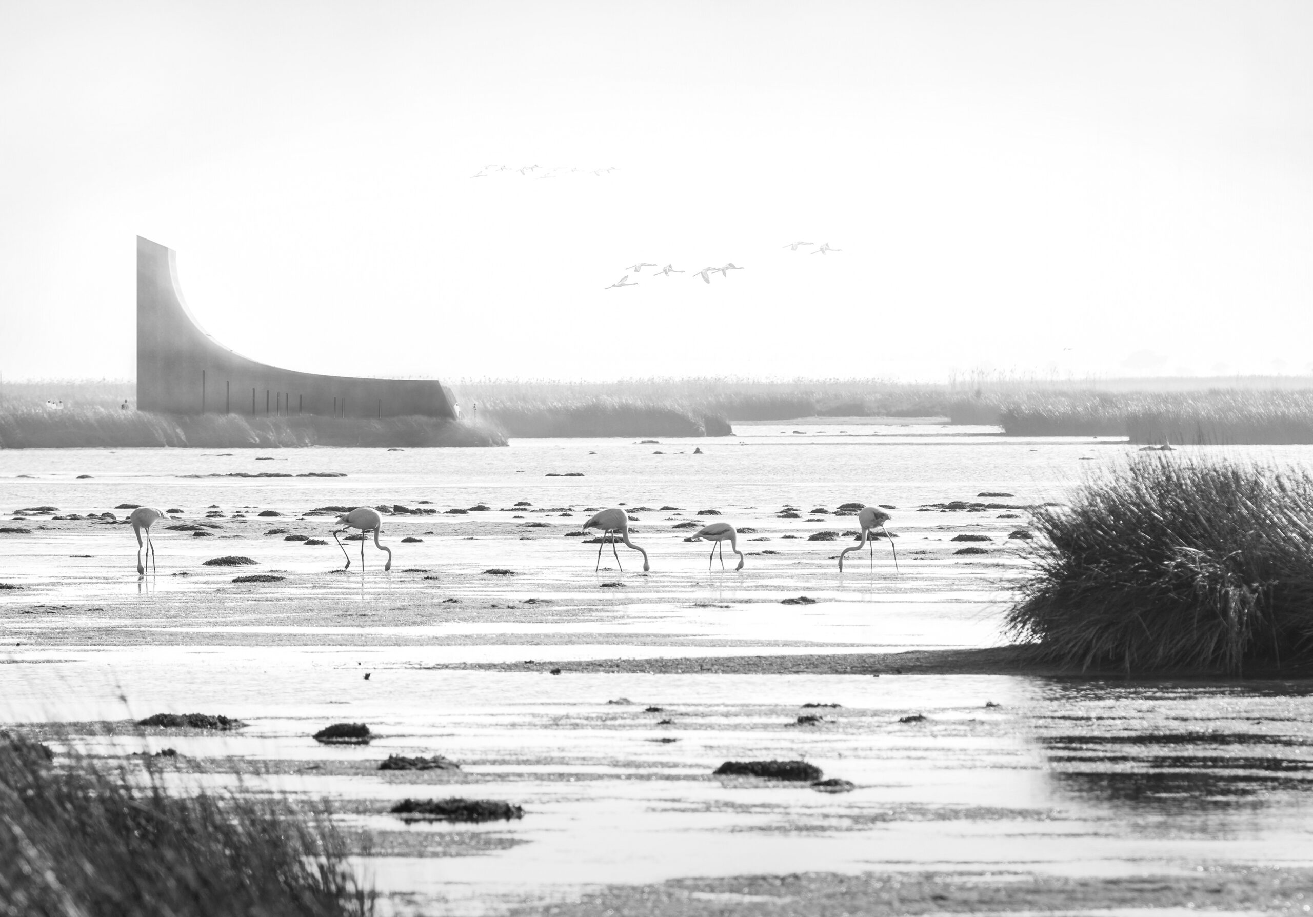 FLORENT-SAUVINEAU-ARCHITECTE-FLAMINGO-VISITOR-CENTER-RENDER-NATURE & LANDSCAPE